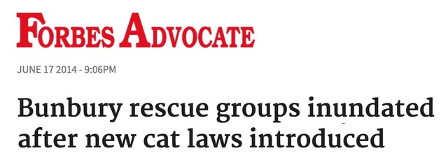 Bunbury rescue groups inundated with cats