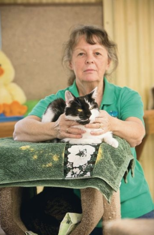 Cat owners "panic" at costs, dump pets