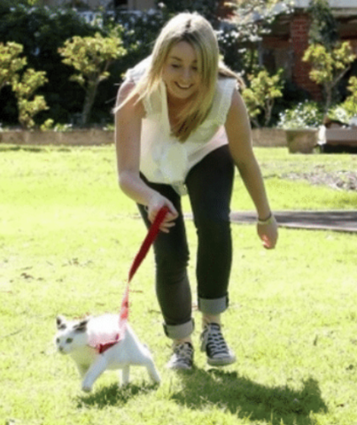 Cat Haven ~ laws will raise abandonment