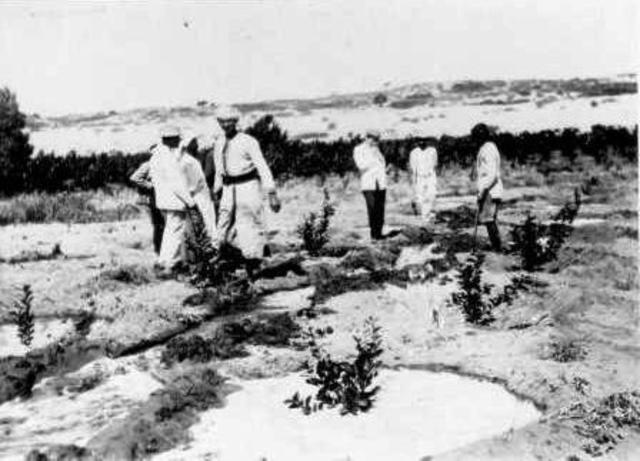 בן גוריון עולה לארץ ישראל