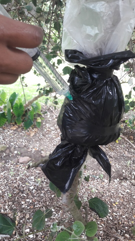 CONTROL Y RIEGO CUATRO