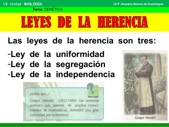 Leyes de la herencia Mendeliana