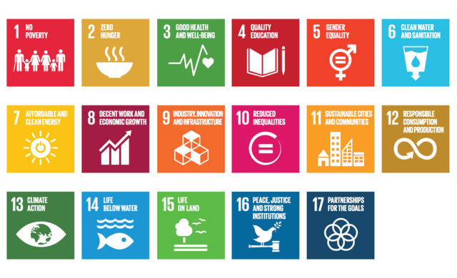 Redesign of the MDG's into the 17 SDG's (Sustainable Development Goals)