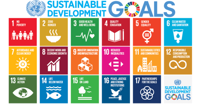 Sustainable Development Goals was reformed from the Millenium Goals