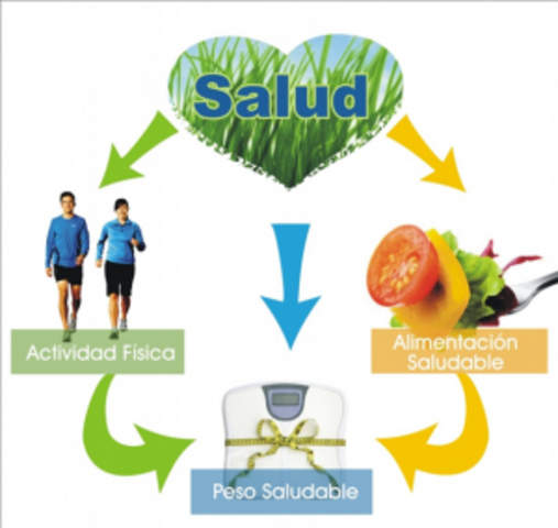 Estrategia mundial OMS sobre régimen alimentario, Actividad Física y Salud
