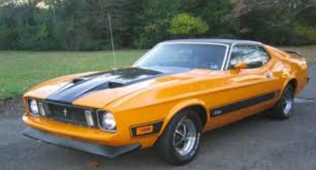MUSTANG 1973
