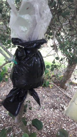 CONTROL Y RIEGO SIETE