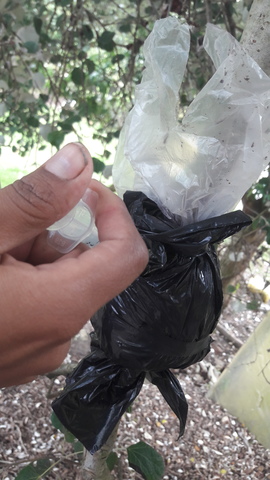 CONTROL Y RIEGO SIETE