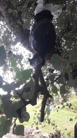 CONTROL Y RIEGO OCHO