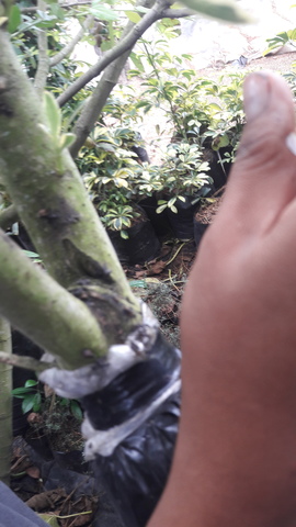 CONTROL Y RIEGO CINCO