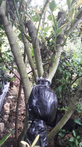 CONTROL Y RIEGO OCHO