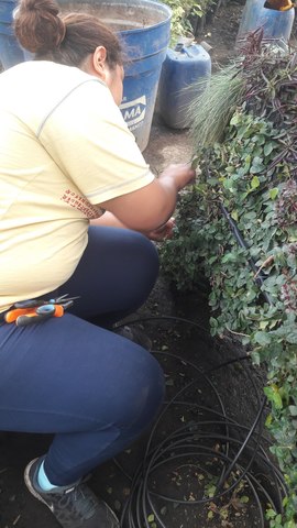 Instalación de Riego