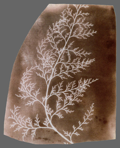 William Henry Fox Talbot