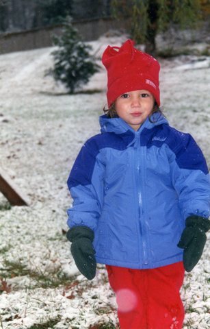 NC hit by the Carolina Crusher Snow Storm