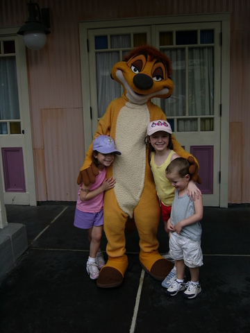 Went to Disney World