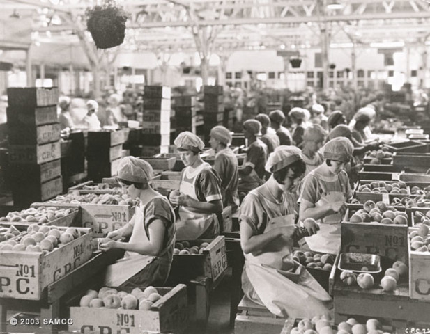 Ley de Prohibiciones del Trabajo Nocturno de las Mujeres