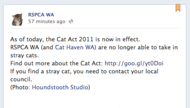 RSPCA & Cat Haven closed to strays