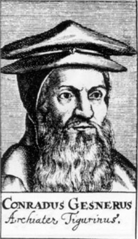 Biblioteca Universal