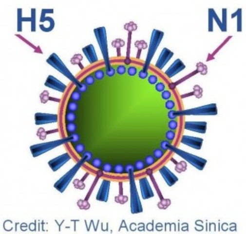 Virus H5N1