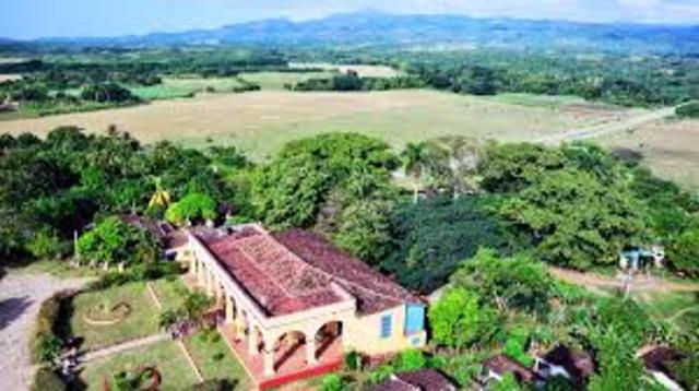 Las Primeras Plantaciones de Café