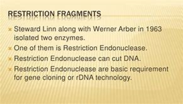 Sistema de restricción de bacterias