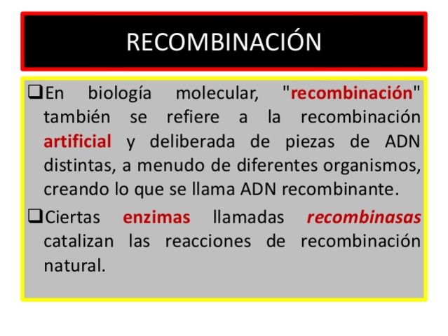 Recombinación genética