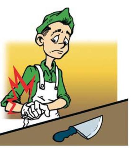 Unificación 2003- 2004