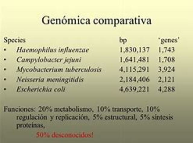 Se completa la secuencia genómica del E.Coli y la levadura