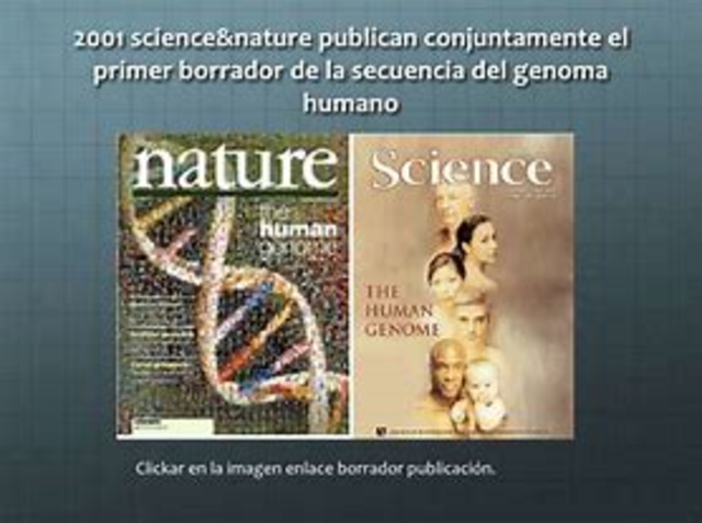 Primer borrador genoma humano