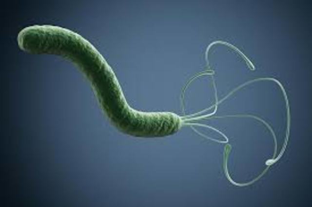 DESCUBRIMIENTO DEL "HELICOBACTER PYLORI"
