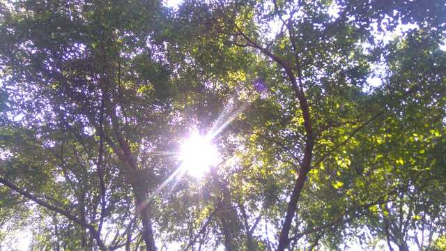 Foto para el recuerdo