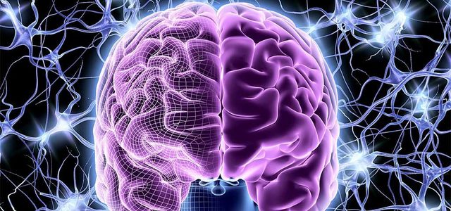 Нейропсихология