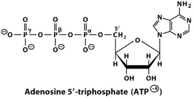 ATP como fuente de energía