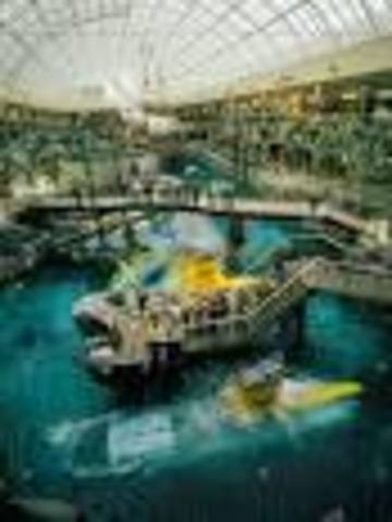 Edmonton mall trip