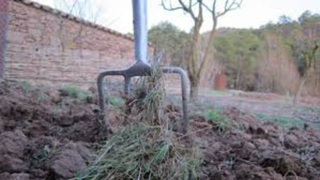 explotaciones baldias