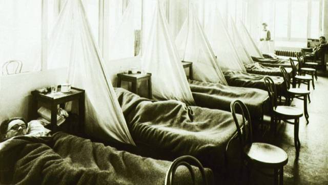 La gripe Aviar afecta en Bogotá