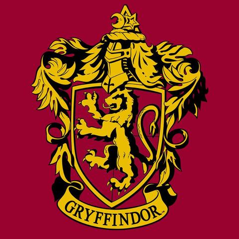 Gryffindor wins the house cup