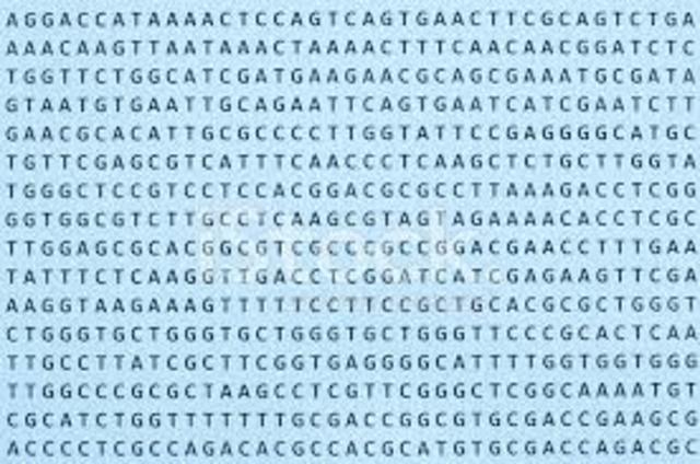 Se completó definitivamente la secuencia del ser humano