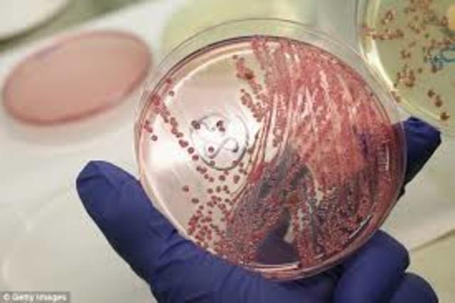 Se consiguió ensamblar ADN hasta crear una bacteria artificial
