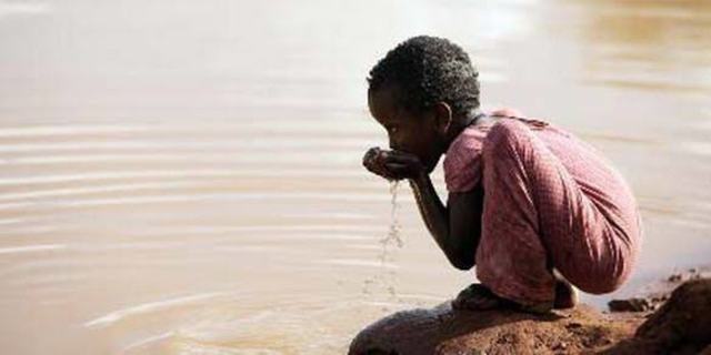 Surgen nuevos departamentos de Protección Ambiental