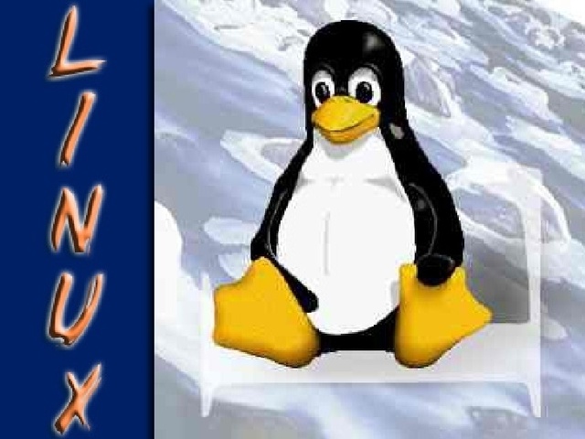Nace Linux.
