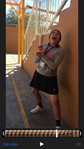 Un gran Kame Hame Ha!!!