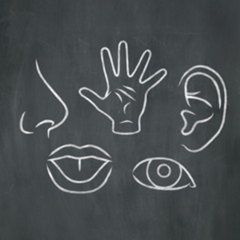 Teorías del Aprendizaje