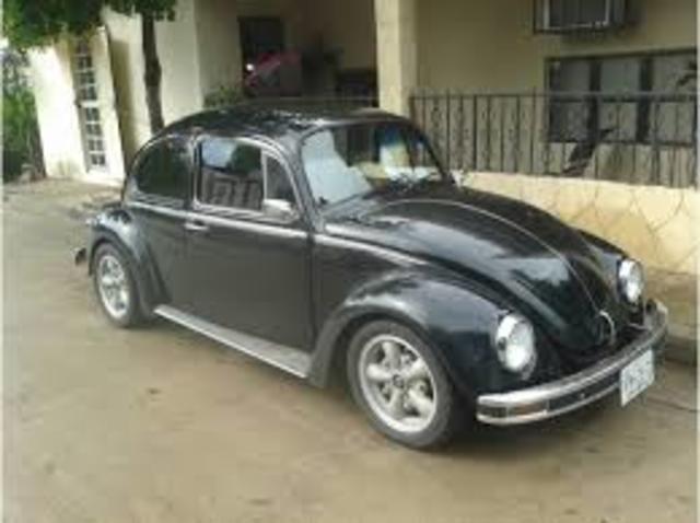 HISTORIA DEL VOCHO 1995