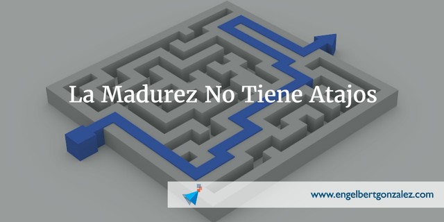 Liderazgo Situacional 2