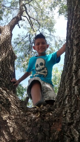 Nace mi segundo hijo