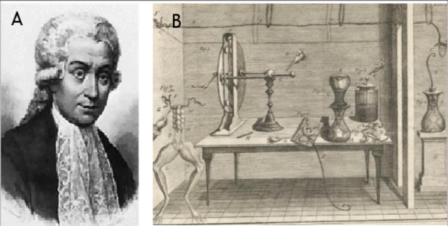 Luigi Galvani (1737-1798)