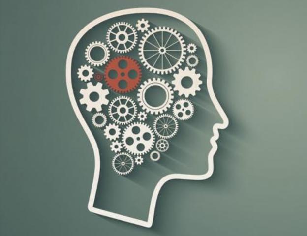 Teoría de la organización