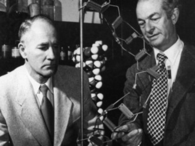 George Wells y Edward Lawrie