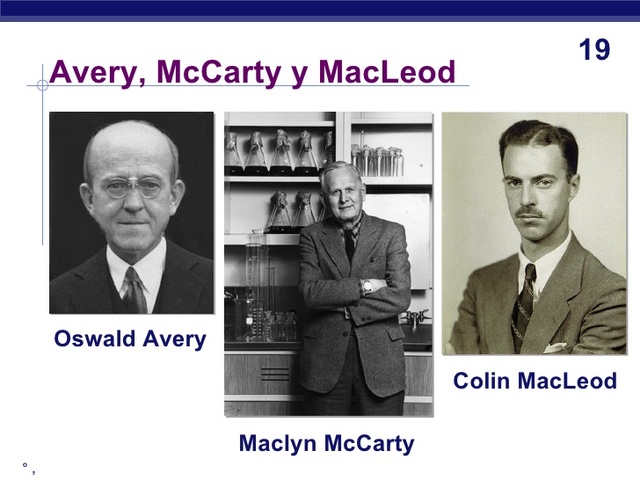 Avery, MacLeod y McCarthy